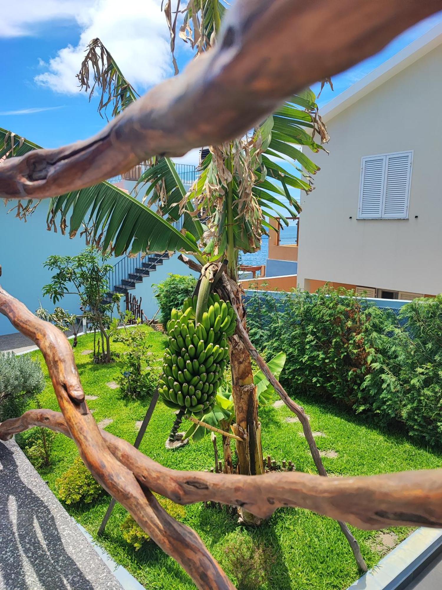 Cottage Pearl - Rural Holiday Experience By Seapearl Paul do Mar  Exterior photo